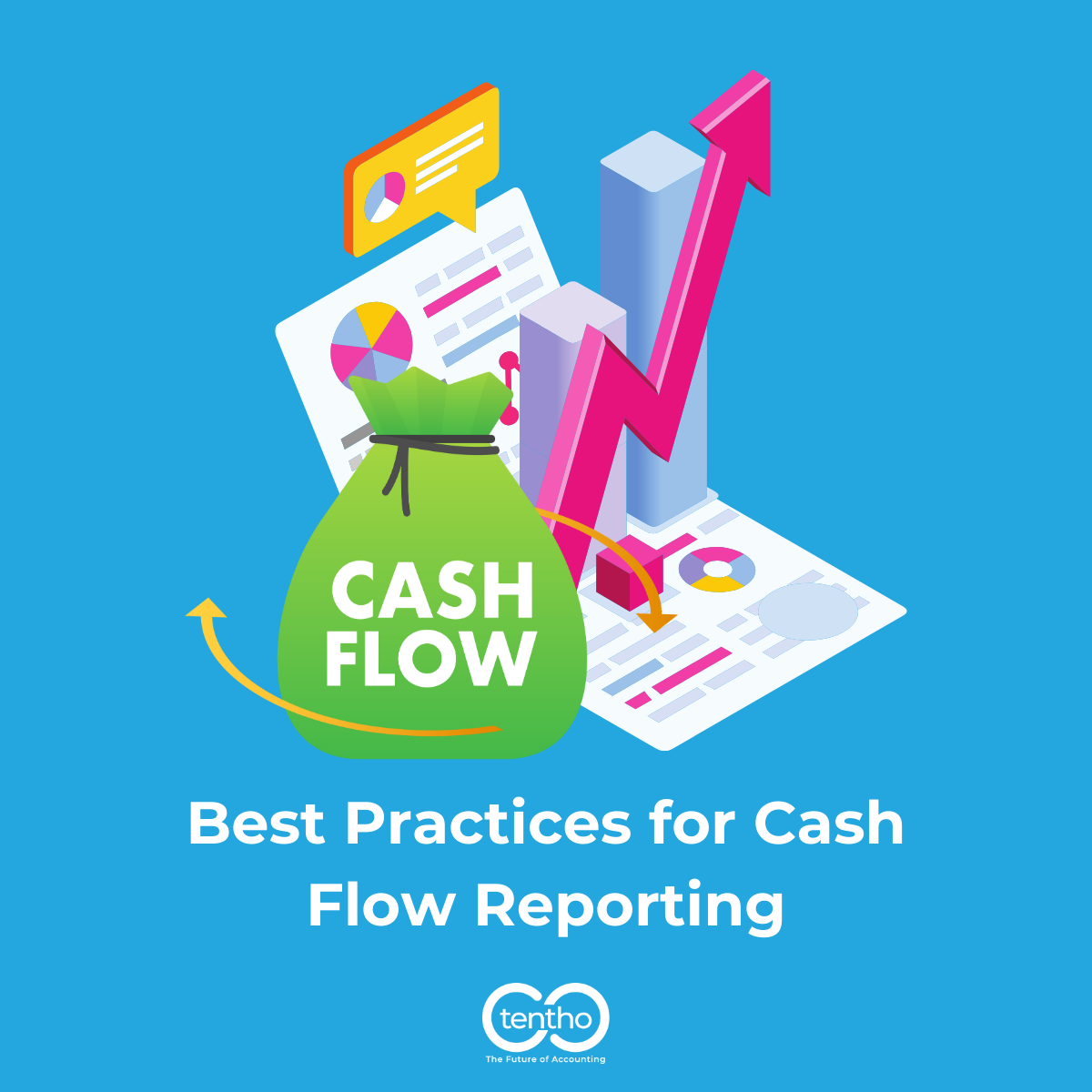 Best Practices For Cash Flow Reporting Tentho 2041